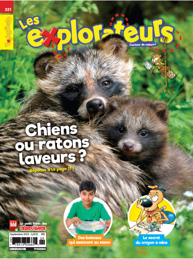 Les Explorateurs // 2409ECOL