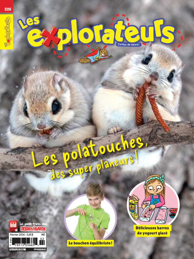 Les Explorateurs // 2400BEL