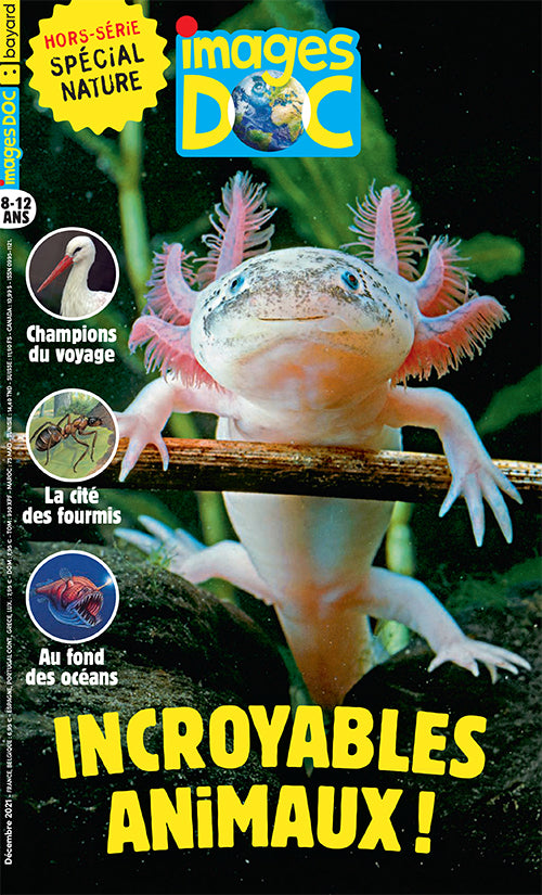HORS-SÉRIE - IMAGES DOC NO 62 SPÉCIAL NATURE
