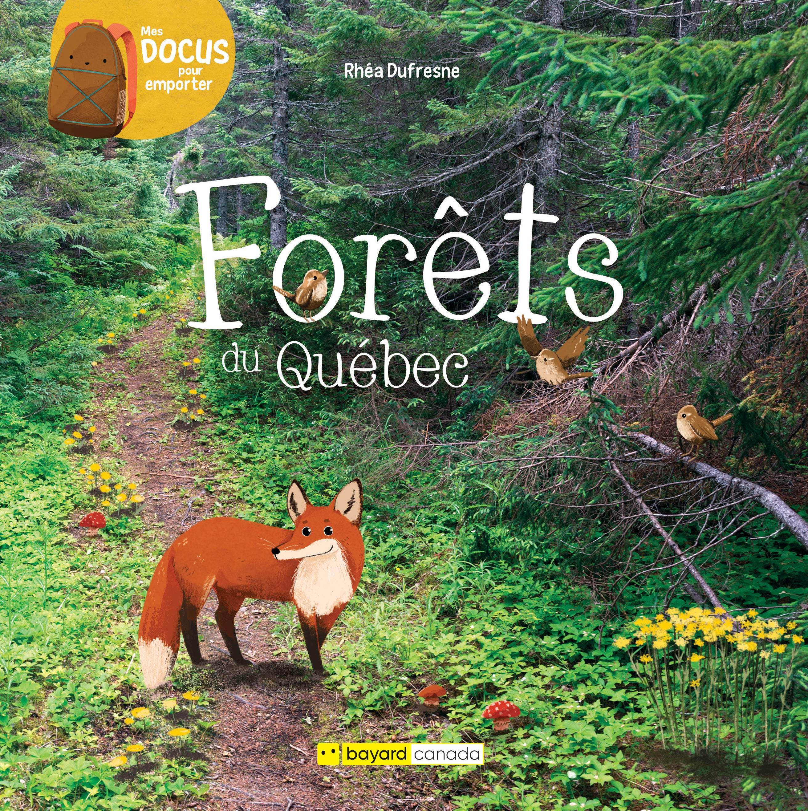 Affiche Animaux de la forêt du Québec – arloca
