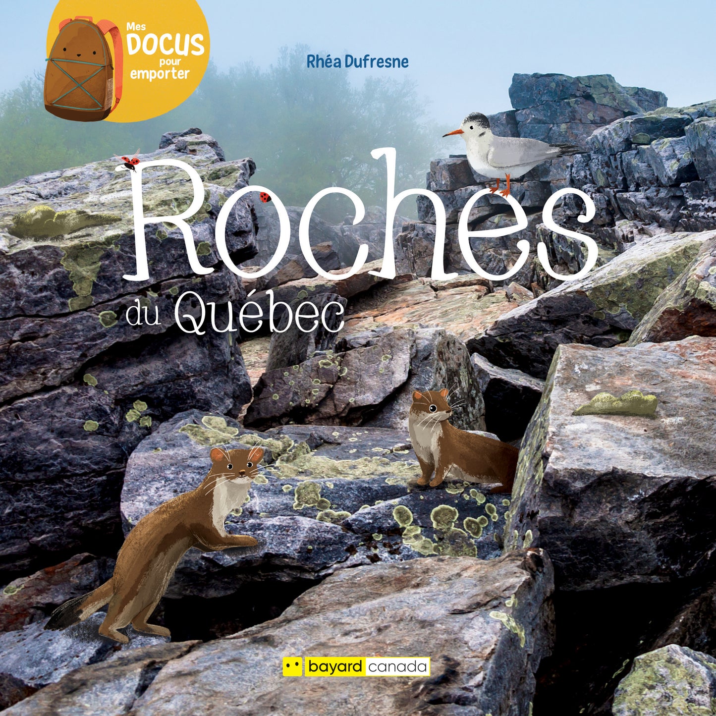Roches du Québec (ePub numérique)