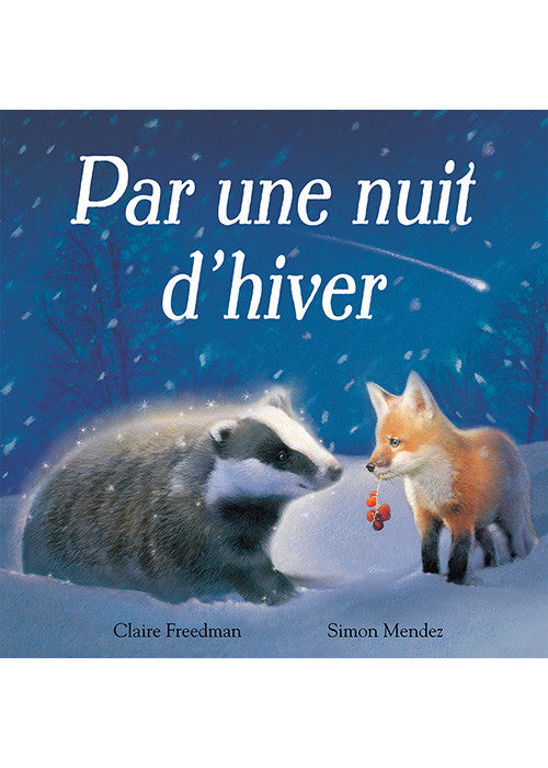 Par une nuit d'hiver