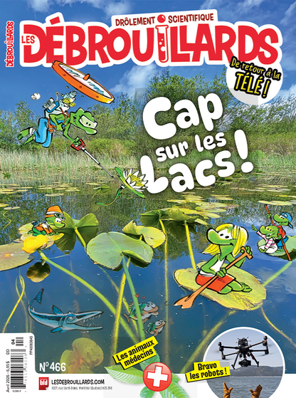 Les Débrouillards