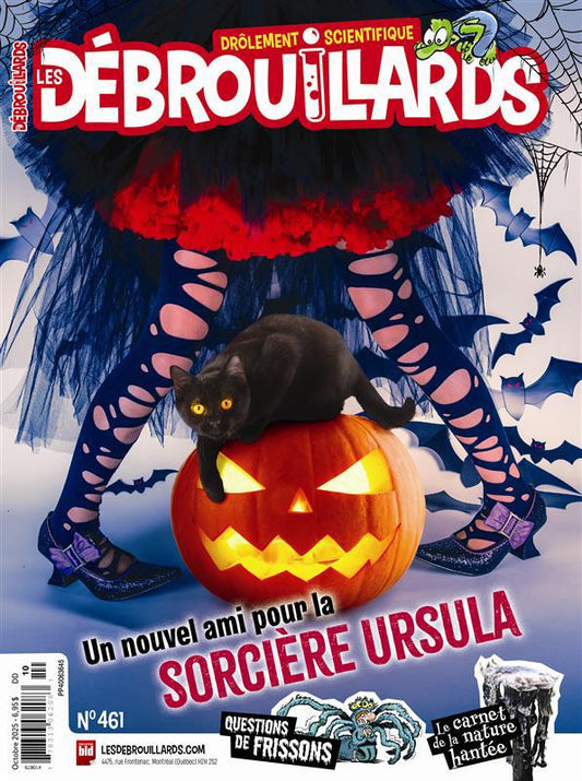 Les Débrouillards