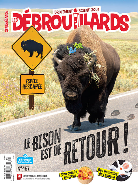 Les Débrouillards 457- Mai 2025