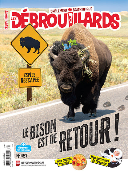Les Débrouillards