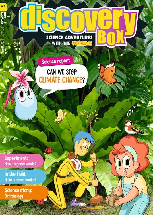 Discovery Box