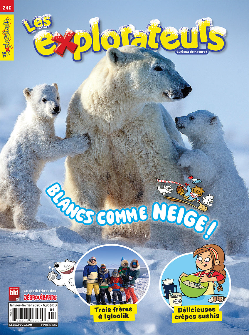 Les Explorateurs no 246 - Janvier/Février 2026