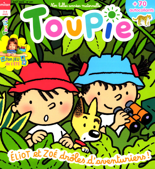 Toupie