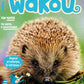 Wakou