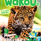 Wakou