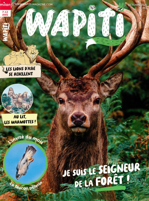 Wapiti