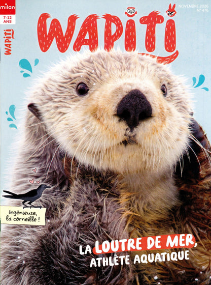 Wapiti