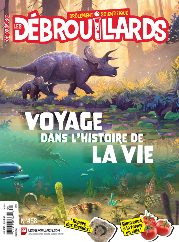 Les Débrouillards