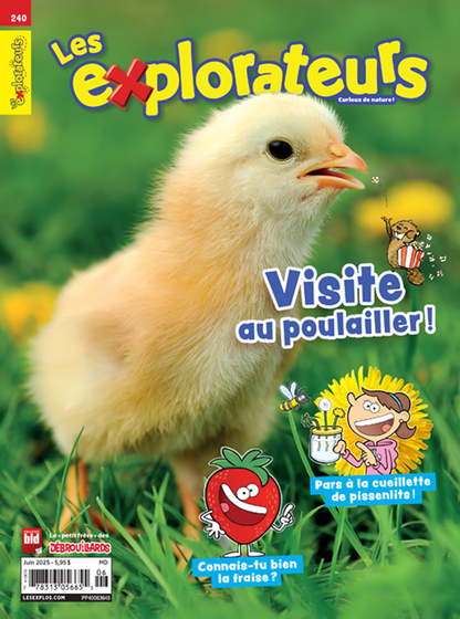 Les Explorateurs