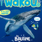 Wakou