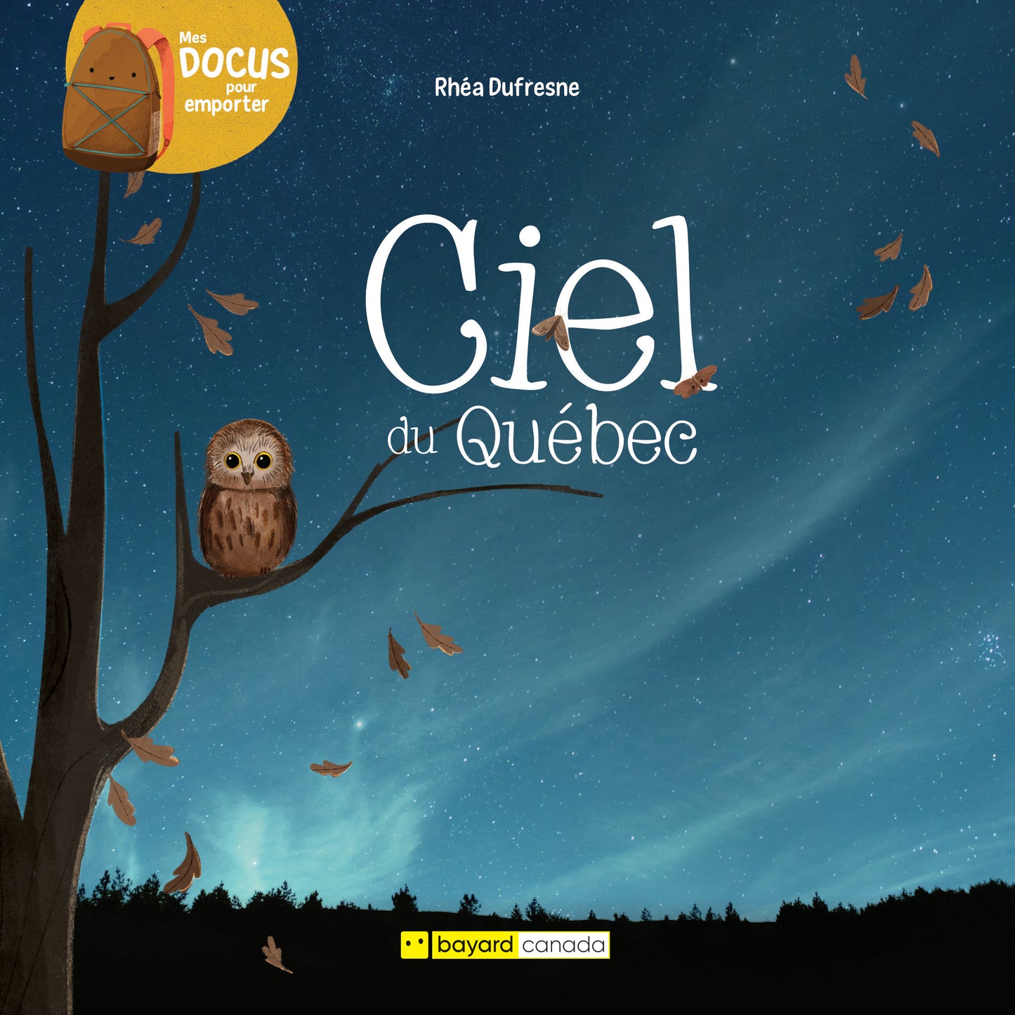 Ciel du Québec (ePub numérique)