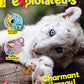Les Explorateurs // promo 2300AUT