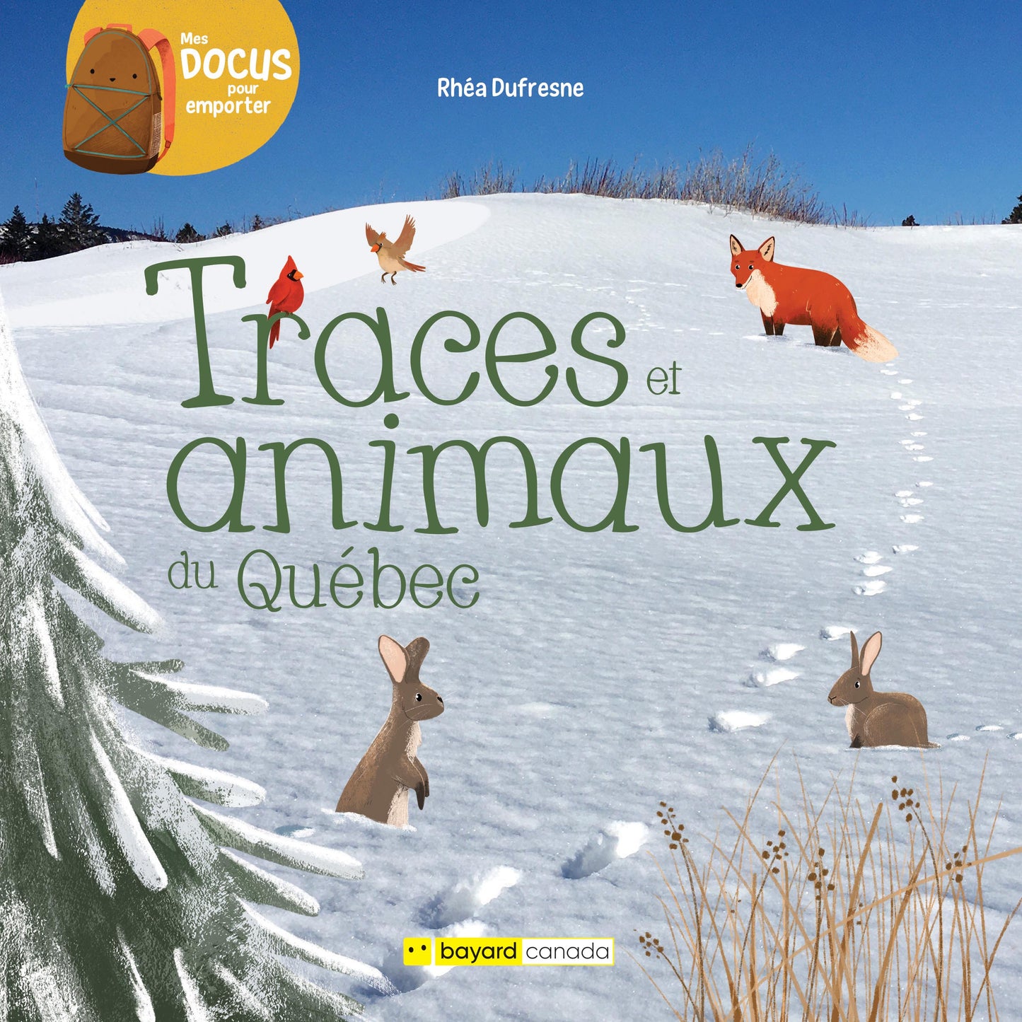 Traces et animaux du Québec